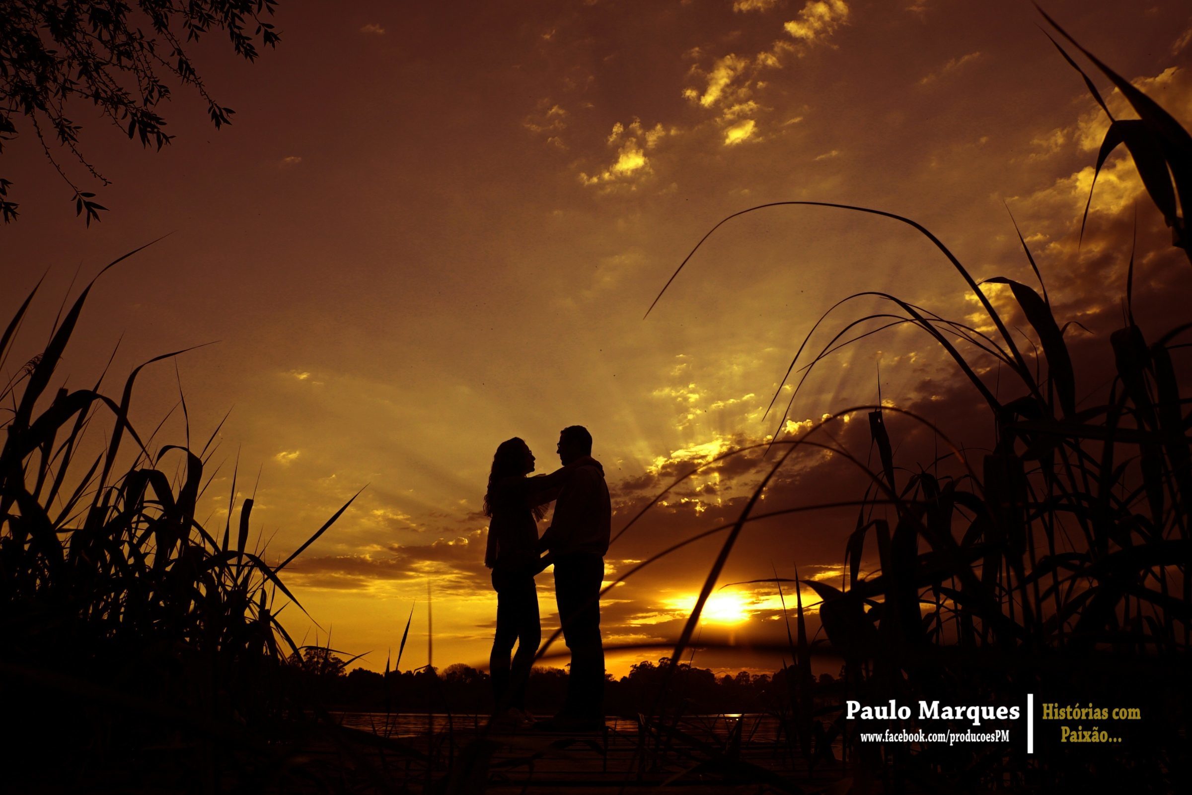 Foto de Paulo Marques  7