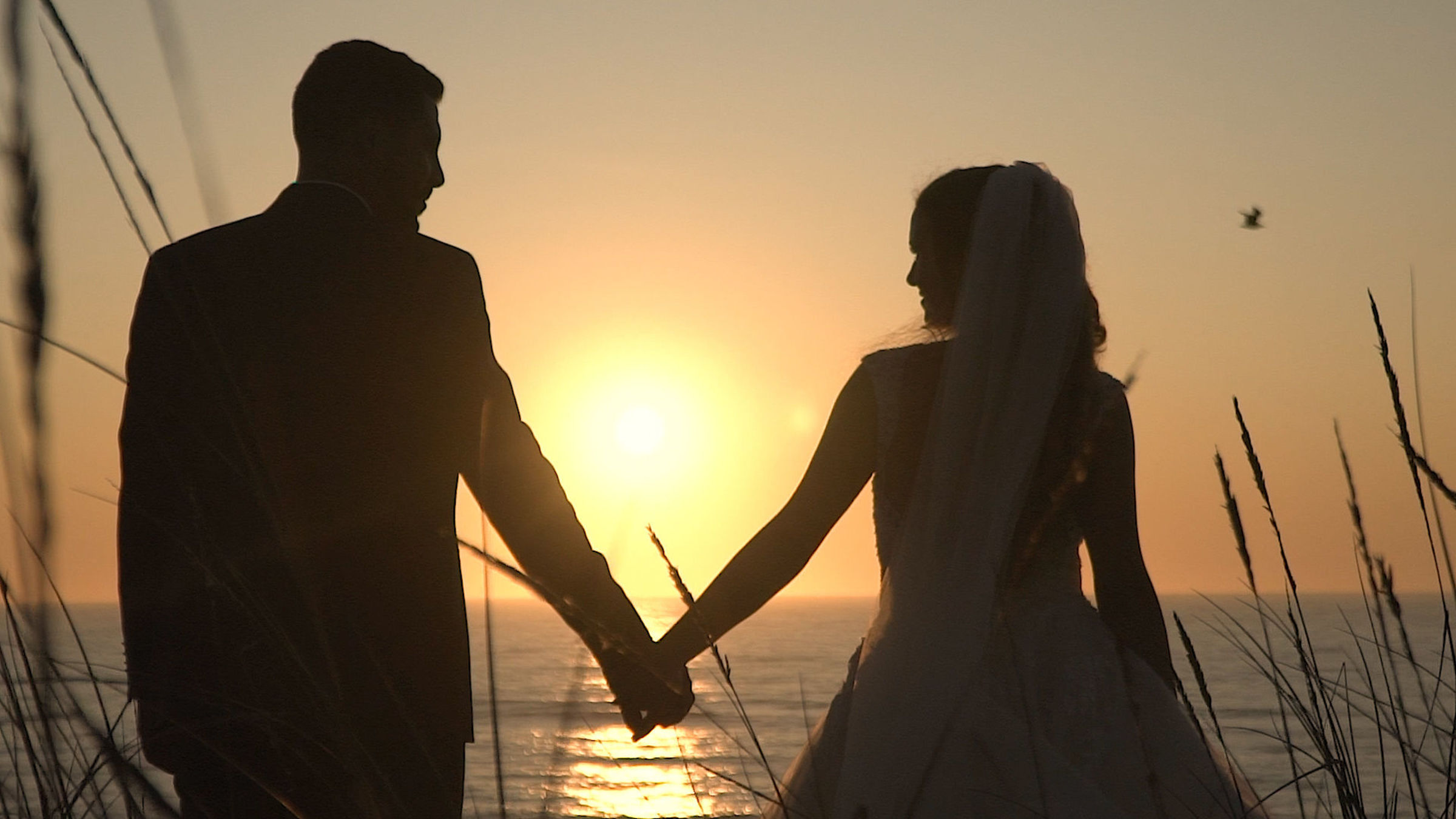 Foto de Paulo Marques  0